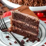 Chocolate Mayonnaise Cake