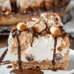 Ninja Foodi S’mores Cheesecake