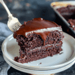Dr Pepper Cake with Fudge Frosting