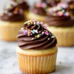Yellow Birthday Cupcakes with Chocolate Buttercream and Sprinkles Recipe