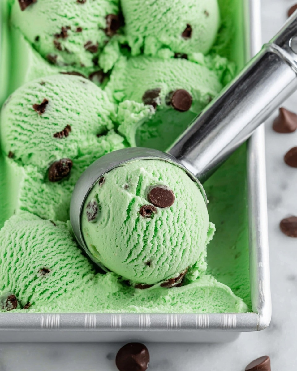 Mint Chocolate Chip Ice Cream Recipe