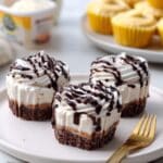 Mini Ice Cream Cakes Recipe