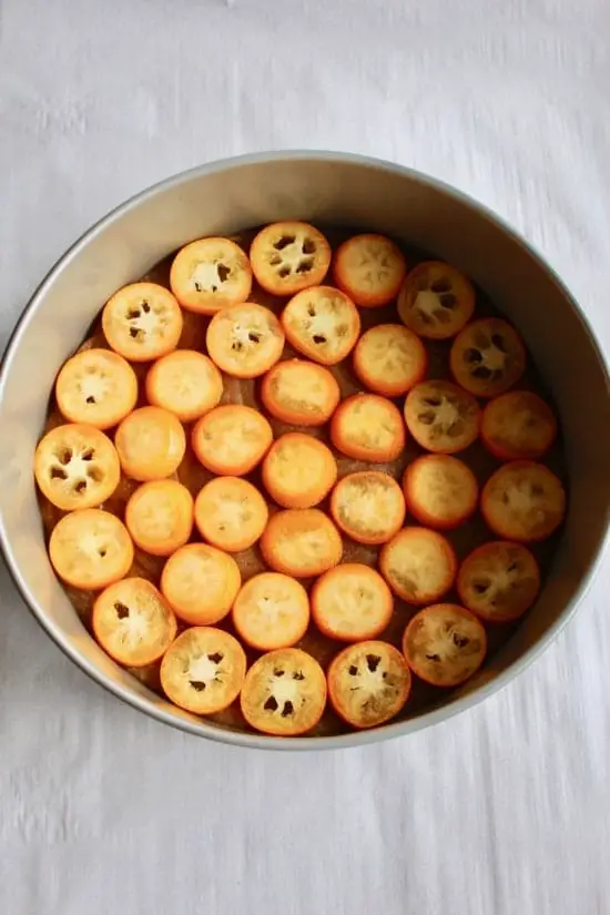 The image shows a round metal baking pan filled with a single layer of sliced orange fruit pieces arranged neatly side by side, covering the entire base of the pan. Each slice is circular with a bright orange color on the outside and a lighter, almost translucent, orange in the center with small seeds visible in some slices. The pan is placed on a white marbled surface. photo taken with an iphone --ar 4:5 --v 7