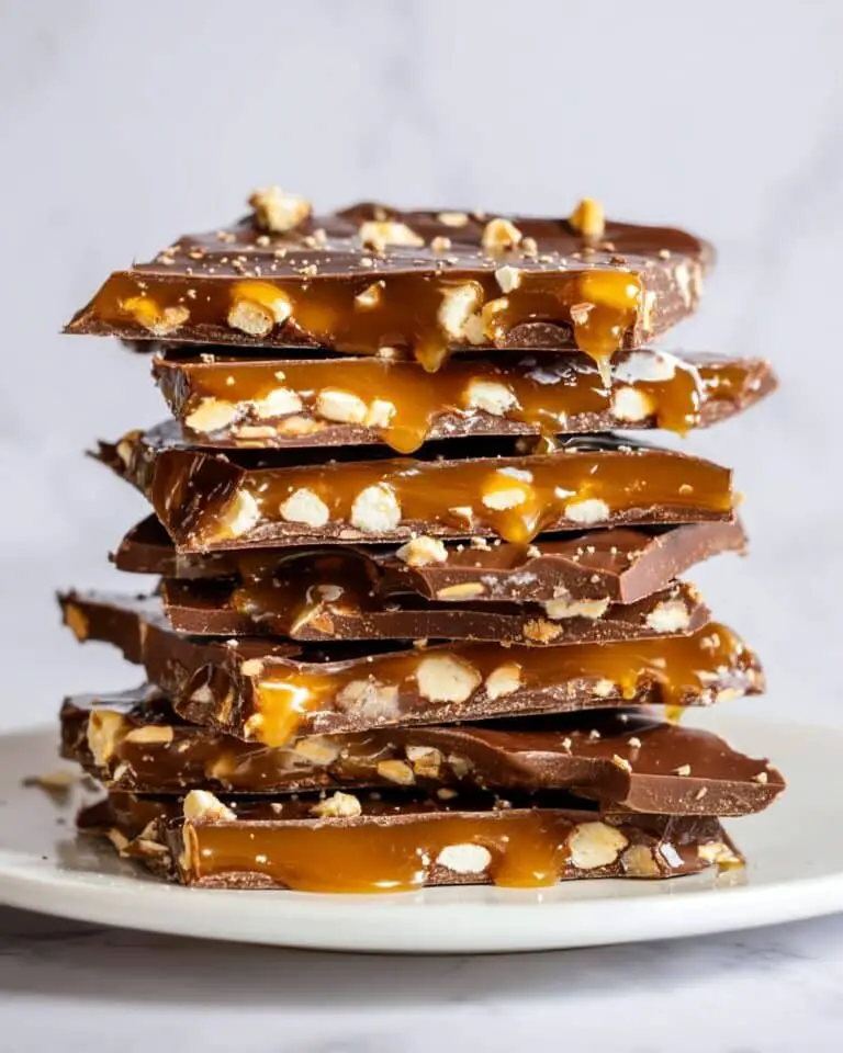 Chocolate Caramel Pretzel Bark Recipe