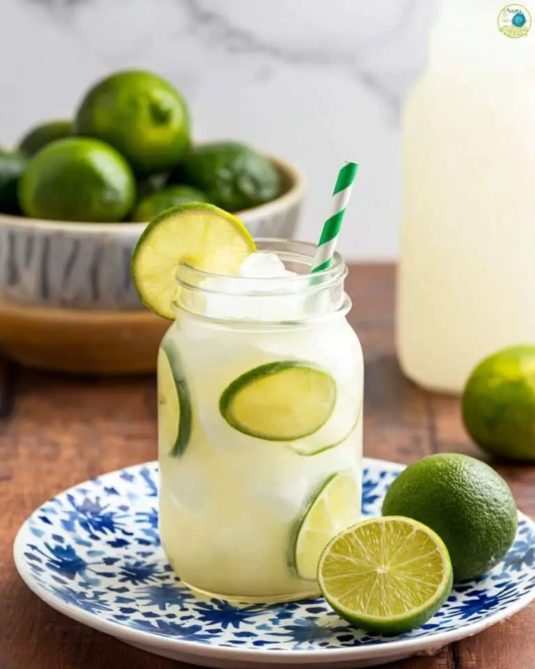 Brazilian Lemonade Recipe