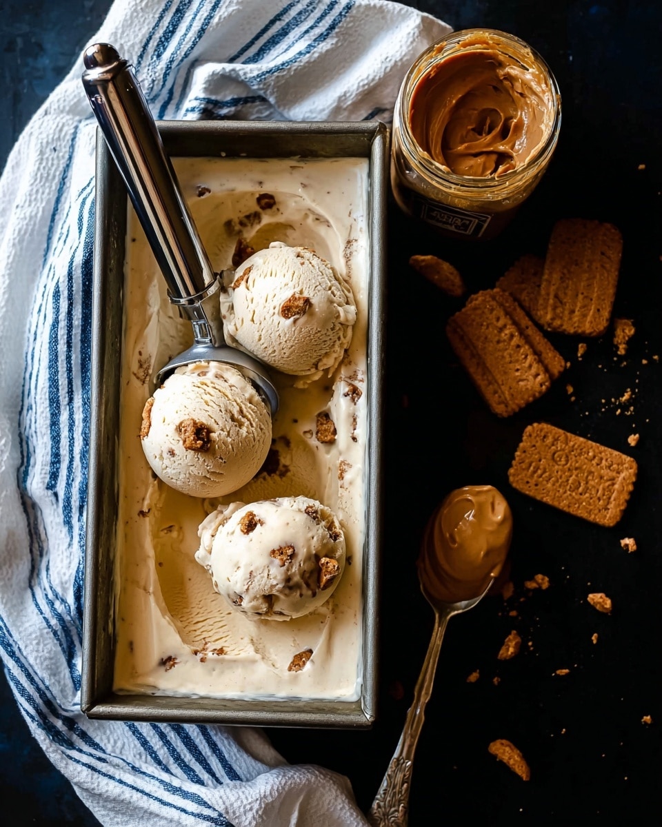 Biscoff Cookie Butter Ice Cream Recipe