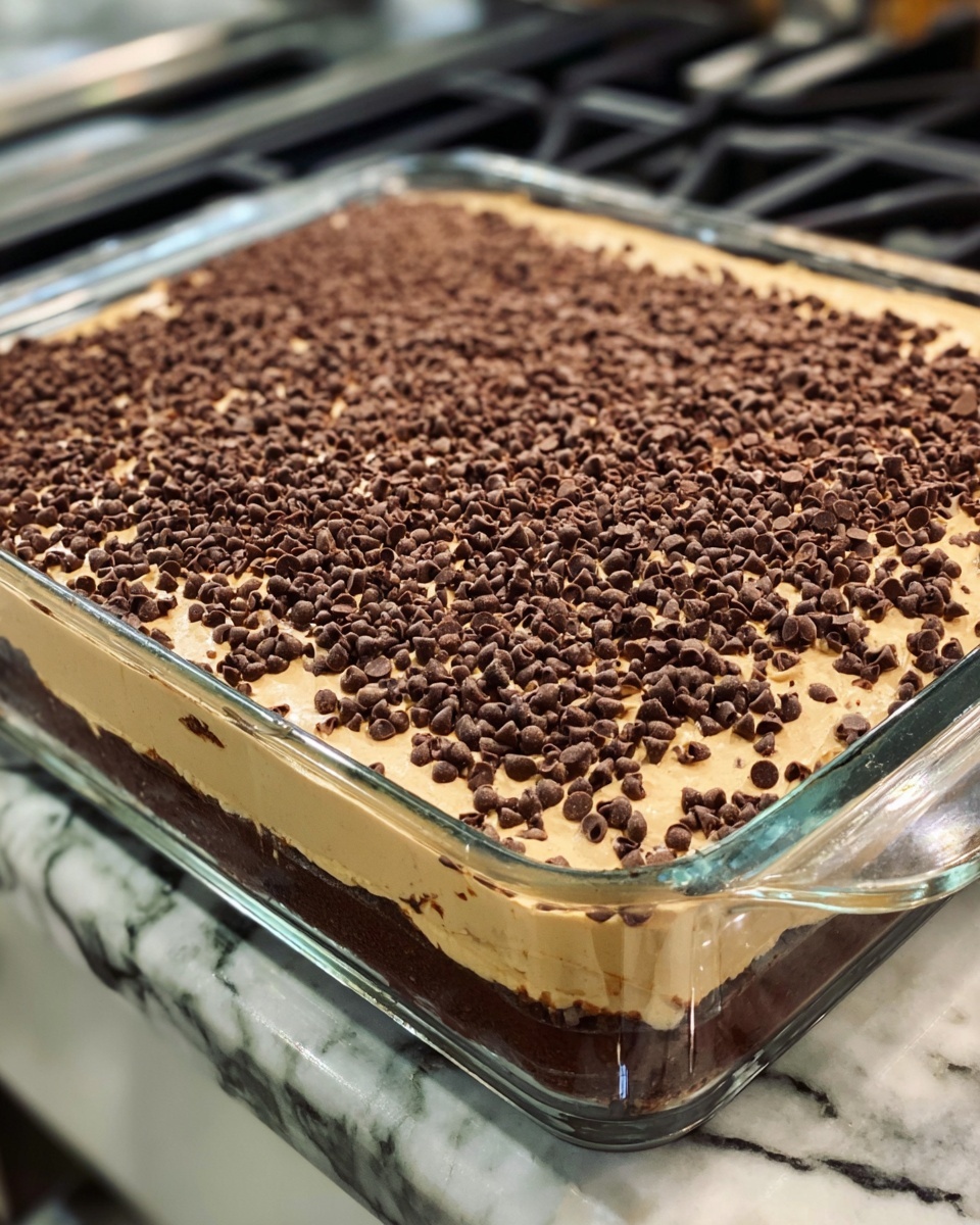 A clear glass rectangle dish filled with a dessert that has three visible layers: the bottom layer is dark and dense, the middle layer is creamy light brown with a smooth texture, and the top layer is sprinkled heavily with small dark chocolate chips. The dish sits on a white marbled surface with part of a stove visible in the background. Photo taken with an iphone --ar 4:5 --v 7