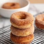 Baked Cinnamon Sugar and Vanilla Glaze Donuts Recipe