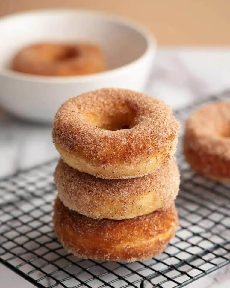 Baked Cinnamon Sugar and Vanilla Glaze Donuts Recipe