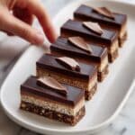 Chocolate Fish Slice Recipe
