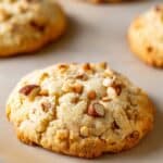 Mixed Nuts Cookies Recipe