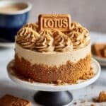 Air Fryer Biscoff Cake Recipe
