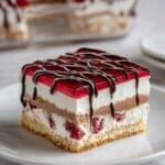 Black Forest Ice Cream Sandwich Cake Recipe