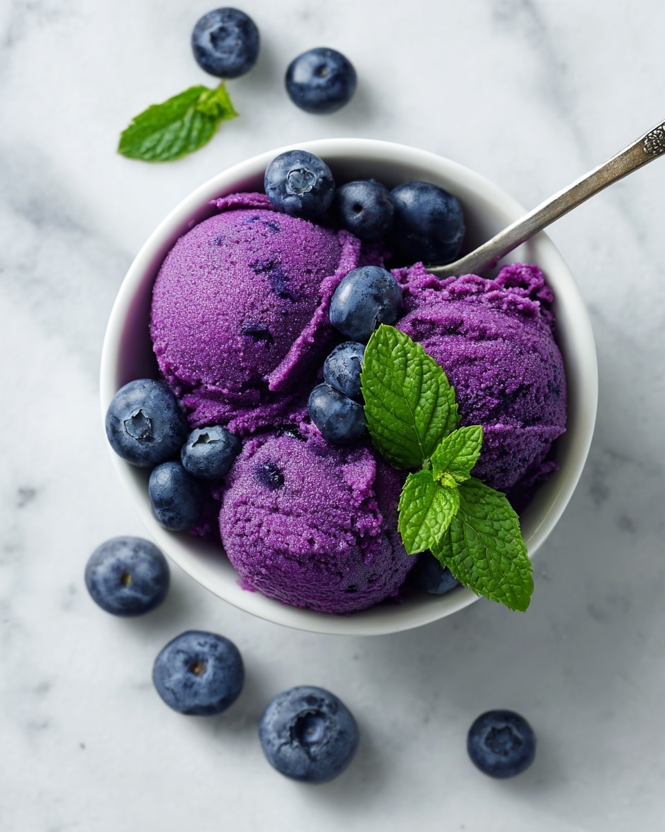 Blueberry Frozen Yogurt Recipe